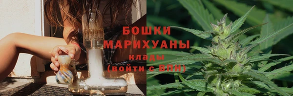 крисы Баксан