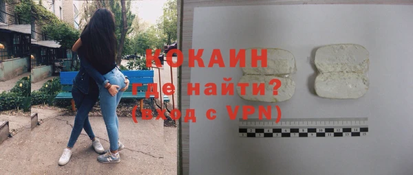 крисы Баксан