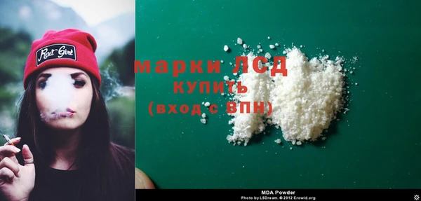 крисы Баксан