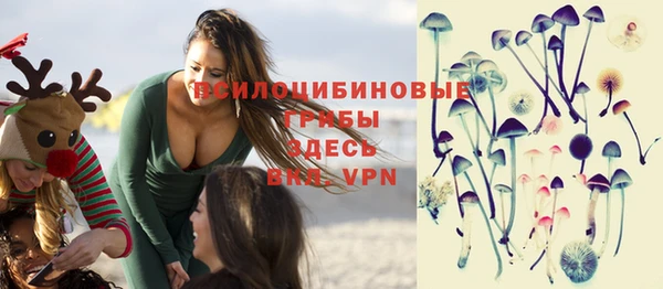 крисы Баксан
