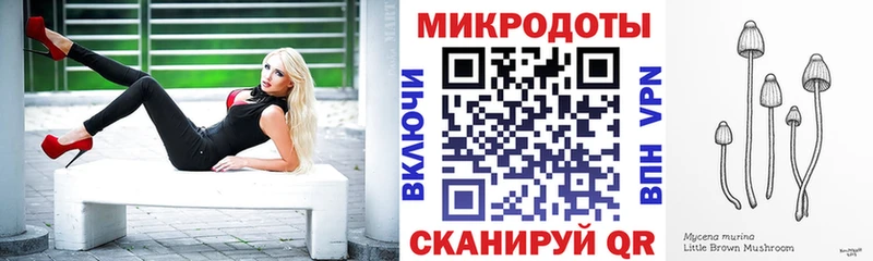 Галлюциногенные грибы Psilocybine cubensis  купить   Заозёрск 